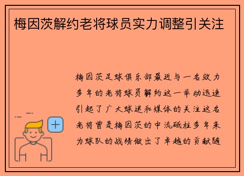 梅因茨解约老将球员实力调整引关注