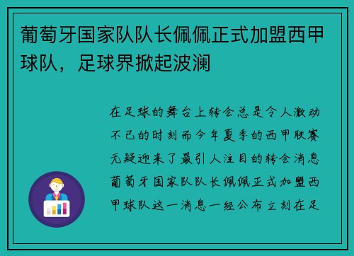 葡萄牙国家队队长佩佩正式加盟西甲球队，足球界掀起波澜